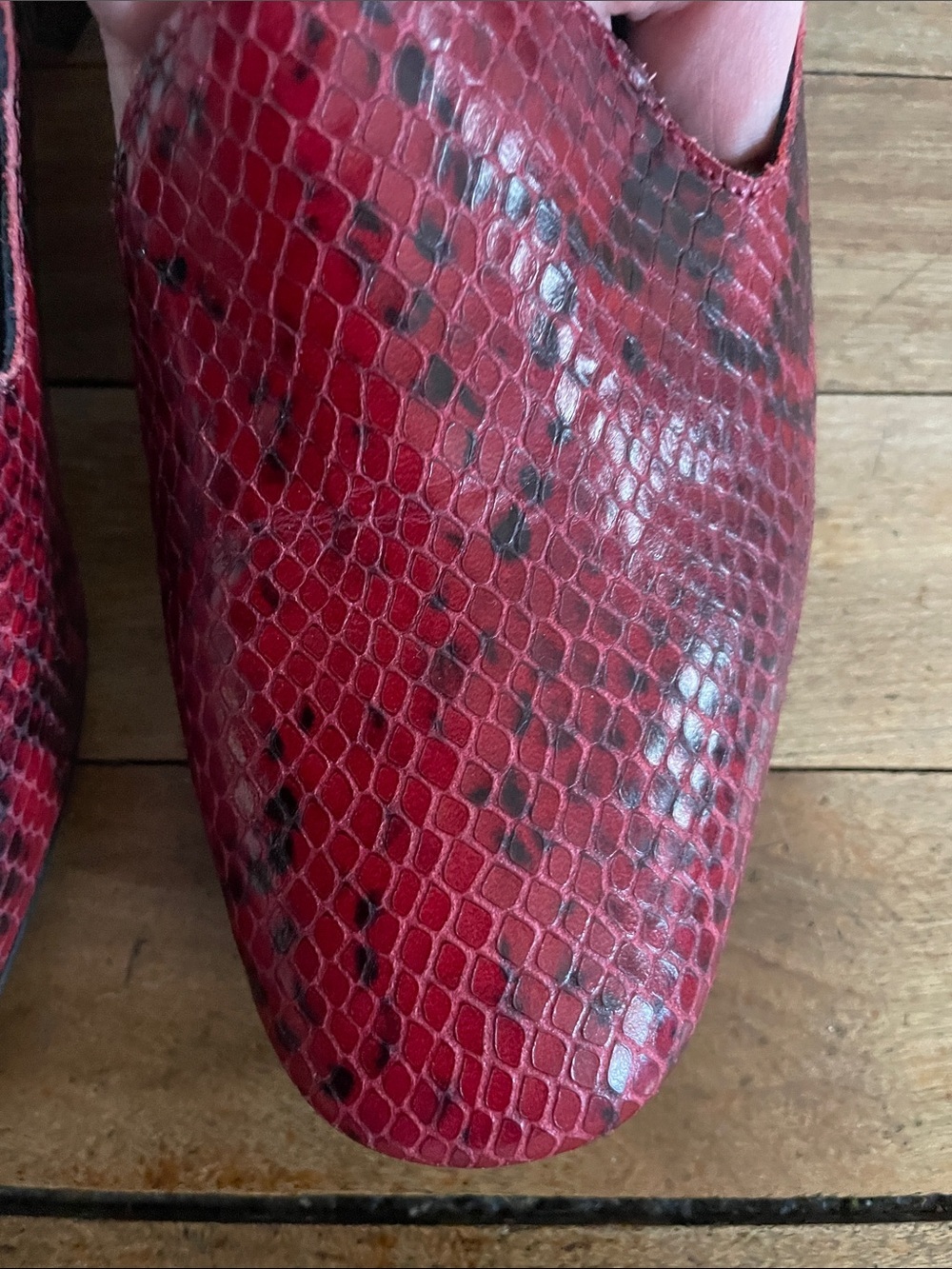 L’intervalle red and black snake skin print leather pumps- size 38/7.5 - Picture 11 of 12